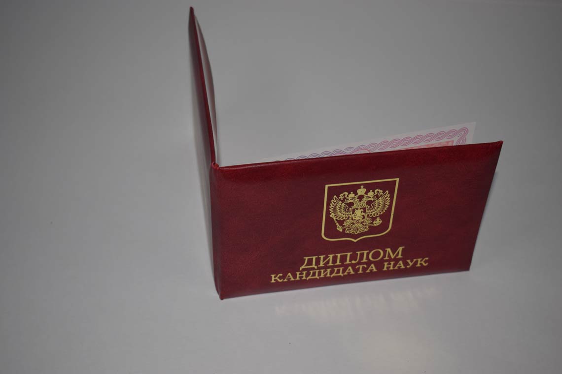 Диплом Кандидата Наук 2013-2016 в Артёме корка